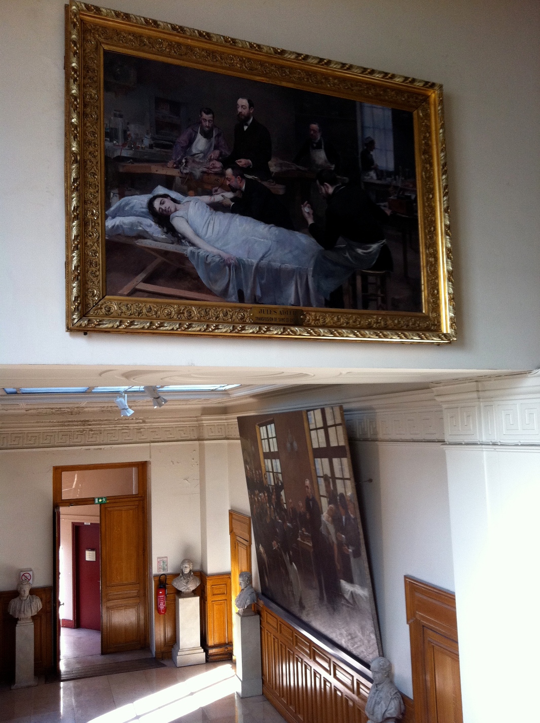 Transfusion de sang de chèvre, Musee d'Histoire de la Medecine, Paris by Rosa Longo - 01.jpg